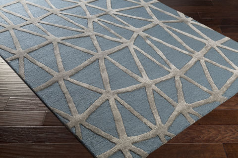 Surya Colorado Blue 20 X 30 Area Rug COD1009-23 800-78312 Image 1