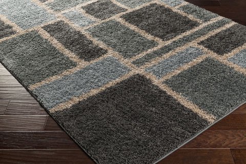 Surya Concepts Grey 111 X 33 Area Rug CPT1735-11133 800-78576 Image 1