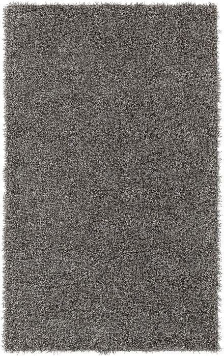 Surya Croix Grey 50 X 76 Area Rug CRX2990-576 800-78625 Image 0