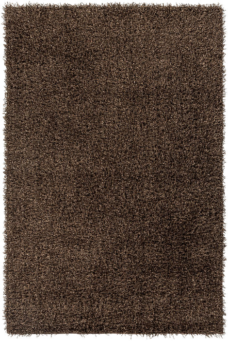 Surya Croix Brown 40 X 60 Area Rug CRX2991-46 800-78629 Image 0