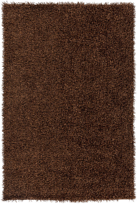 Surya Croix Brown 20 X 30 Area Rug CRX2994-23 800-78643 Image 0