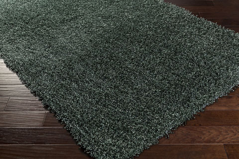 Surya Croix Green 20 X 30 Area Rug CRX2995-23 800-78648 Image 1