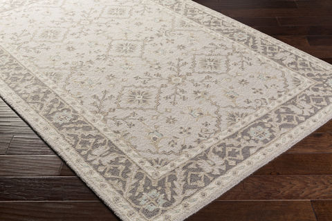 Surya Castille Grey 40 X 60 Area Rug CTL2000-46 800-78702 Image 1