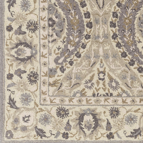 Surya Castille Grey 20 X 30 Area Rug CTL2008-23 800-78749 Image 2