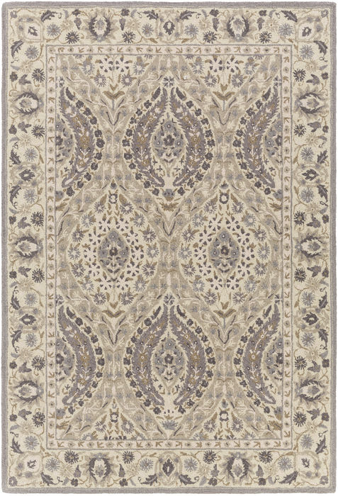 Surya Castille Grey 40 X 60 Area Rug CTL2008-46 800-78750 Image 0