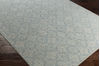 Surya D-Orsay Grey 50 X 76 Area Rug DOR1010-576 800-78926 Thumb 1