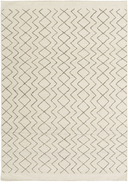 Surya Dasher Brown 20 X 30 Area Rug DSH5001-23 800-78938 Image 0