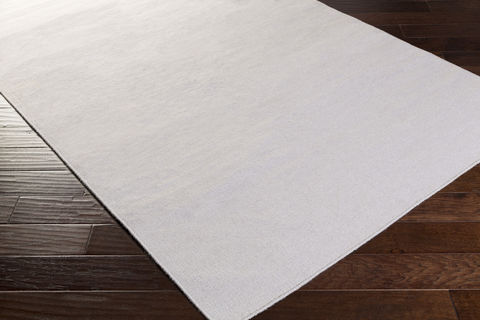 Surya Dutchess Grey 40 X 60 Area Rug DTC8000-46 800-78954 Image 1