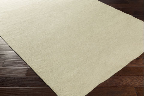 Surya Dutchess Grey 40 X 60 Area Rug DTC8003-46 800-78962 Image 1
