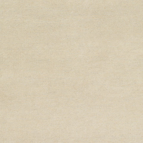 Surya Dutchess Grey 40 X 60 Area Rug DTC8003-46 800-78962 Image 2