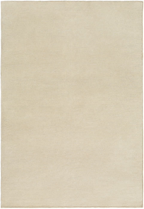 Surya Dutchess Grey 50 X 76 Area Rug DTC8003-576 800-78963 Image 0