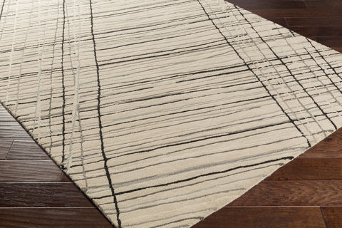 Surya Flying Colors Grey 50 X 76 Area Rug EGF1002-576 800-79109 Image 1