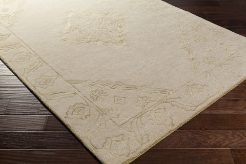Surya Essence Multicolor 50 X 80 Area Rug ESS7695-58 800-79235 Image 1