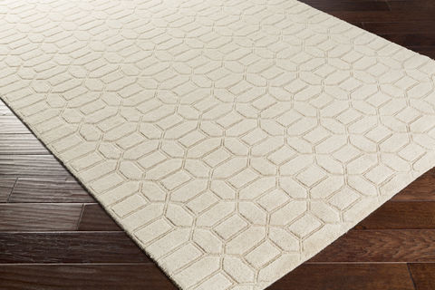 Surya Etching Beige 50 X 80 Area Rug ETC4988-58 800-79273 Image 1