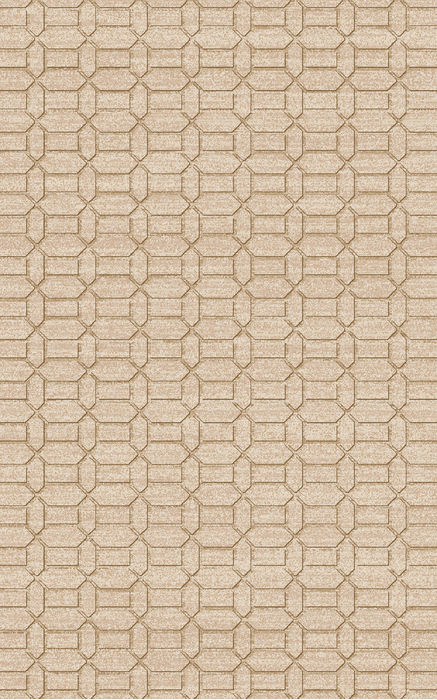 Surya Etching Beige 50 X 80 Area Rug ETC4988-58 800-79273 Image 0