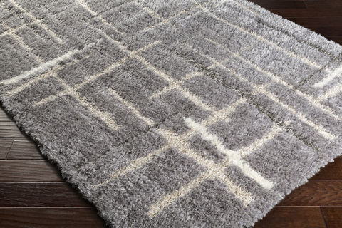 Surya Fanfare Multicolor 50 X 76 Area Rug FAF1000-576 800-79341 Image 1