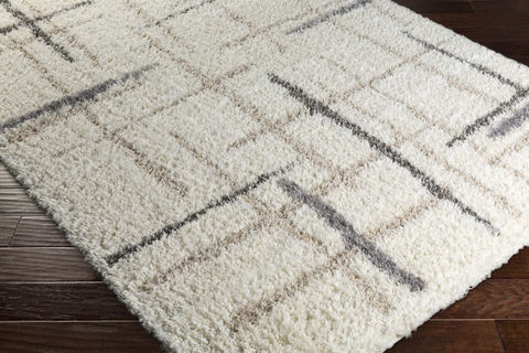 Surya Fanfare Multicolor 20 X 30 Area Rug FAF1001-23 800-79343 Image 1