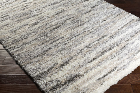 Surya Fanfare Multicolor 20 X 30 Area Rug FAF1003-23 800-79349 Image 1