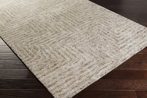 Surya Falcon Grey 50 X 76 Area Rug FLC8000-576 800-79412 Image 1