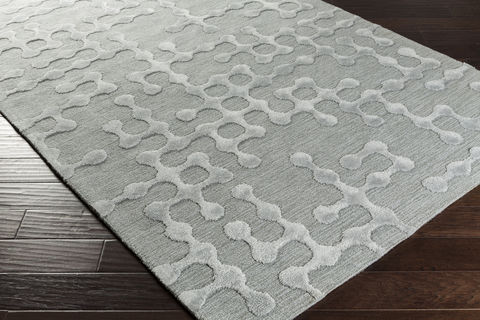 Surya Gable Grey 30 X 50 Area Rug GBL2011-35 800-79650 Image 1
