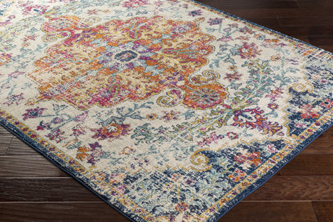 Surya Harput Multicolor 20 X 30 Area Rug HAP1000-23 800-79943 Image 1