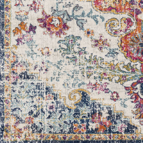 Surya Harput Multicolor 20 X 30 Area Rug HAP1000-23 800-79943 Image 6