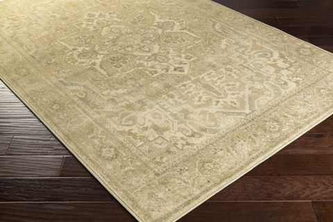 Surya Hathaway White 53 X 73 Area Rug HAT3000-5373 800-80011 Image 1
