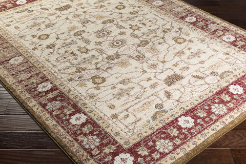Surya Henre Multicolor 20 X 30 Area Rug HEE1000-23 800-80096 Image 1