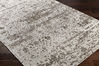 Surya Irina Brown 50 X 76 Area Rug IRN1003-576 800-80406 Thumb 1