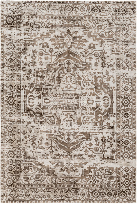Surya Irina Brown 50 X 76 Area Rug IRN1005-576 800-80412 Image 0