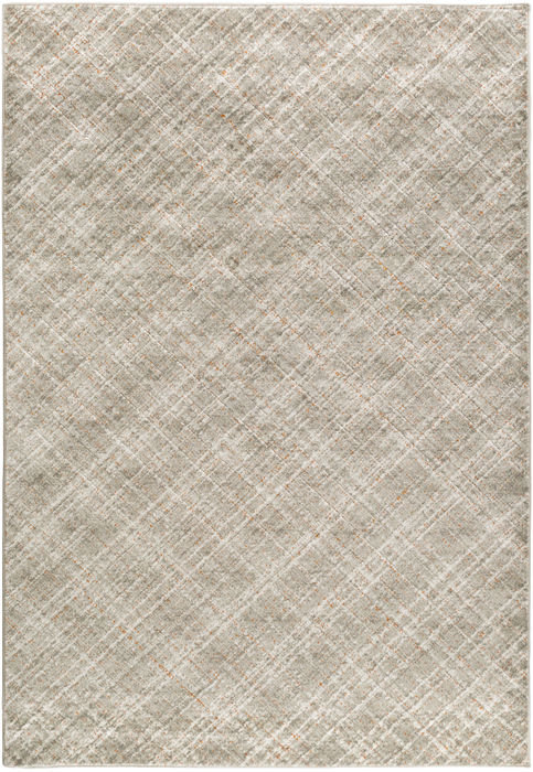 Surya Jax Grey 22 X 30 Area Rug JAX5007-223 800-80460 Image 0