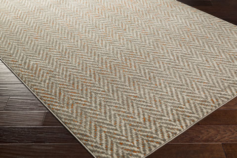 Surya Jax Grey 52 X 76 Area Rug JAX5014-5276 800-80478 Image 1