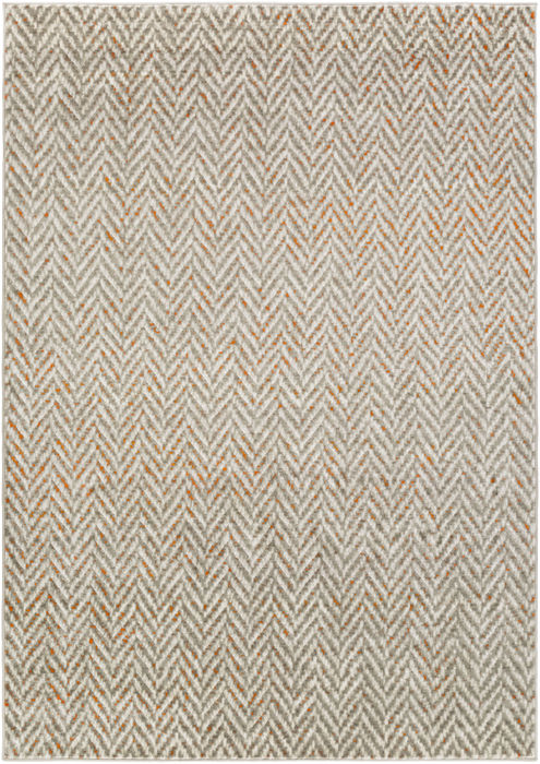 Surya Jax Grey 52 X 76 Area Rug JAX5014-5276 800-80478 Image 0