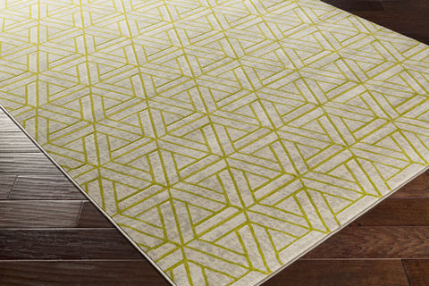 Surya Jax Grey 22 X 30 Area Rug JAX5029-223 800-80510 Image 1