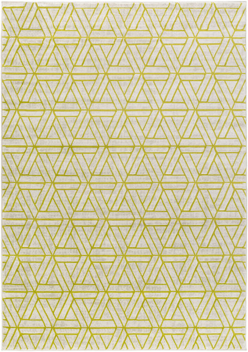Surya Jax Grey 22 X 30 Area Rug JAX5029-223 800-80510 Image 0