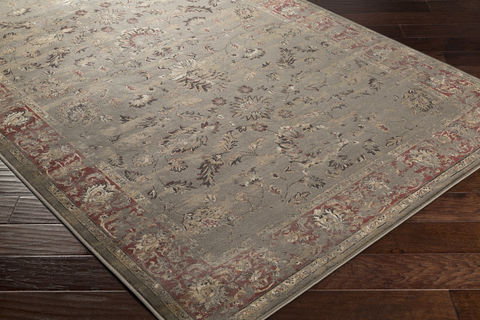 Surya Kaitlyn Brown 710 X 106 Area Rug KTN1003-710106 800-80831 Image 1