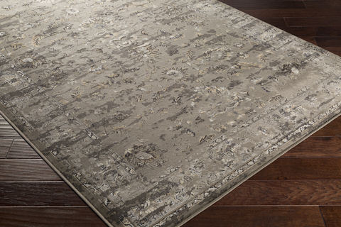 Surya Kaitlyn Brown 53 X 76 Area Rug KTN1005-5376 800-80834 Image 1