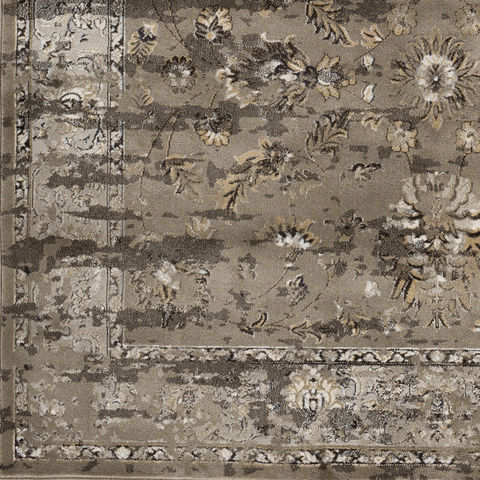 Surya Kaitlyn Brown 53 X 76 Area Rug KTN1005-5376 800-80834 Image 3