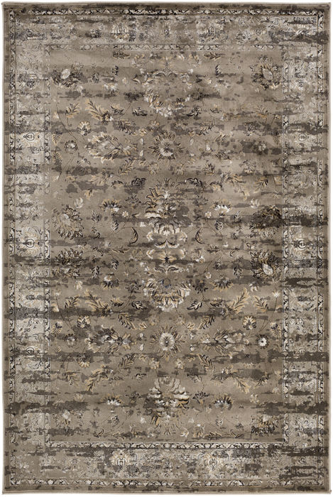 Surya Kaitlyn Brown 53 X 76 Area Rug KTN1005-5376 800-80834 Image 0