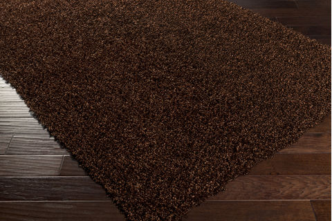 Surya Croix Brown Runner 23 X 80 Area Rug CRX2994-238 800-81196 Image 1