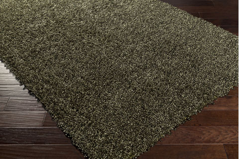 Surya Croix Green Square 60 X 60 Area Rug CRX2998-6SQ 800-81226 Image 1