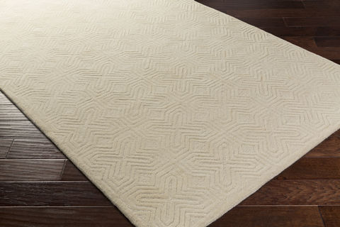 Surya Dwell B Beige 90 X 120 Area Rug DWB9000-912 800-81311 Image 1
