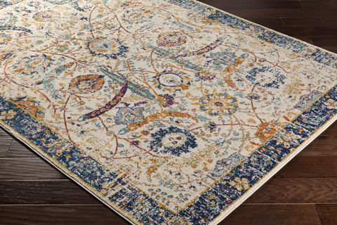Surya Harput Multicolor 710 X 103 Area Rug HAP1014-710103 800-81641 Image 1