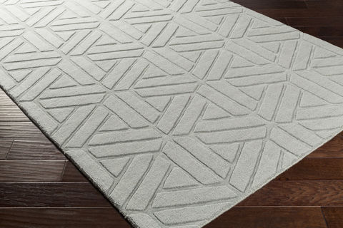 Surya Mystique Grey 20 X 30 Area Rug M5428-23 800-82272 Image 1