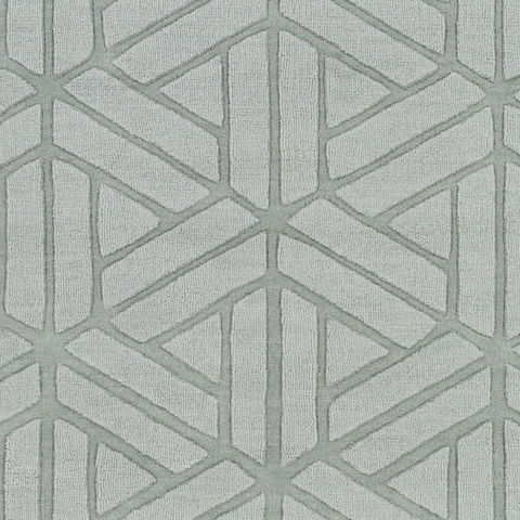 Surya Mystique Grey 20 X 30 Area Rug M5428-23 800-82272 Image 2