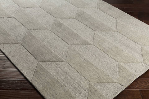 Surya Mountain Brown 50 X 76 Area Rug MOI1001-576 800-82985 Image 1