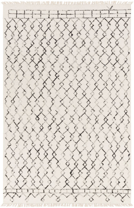 Surya Nettie White 50 X 76 Area Rug NET1000-576 800-83540 Image 0