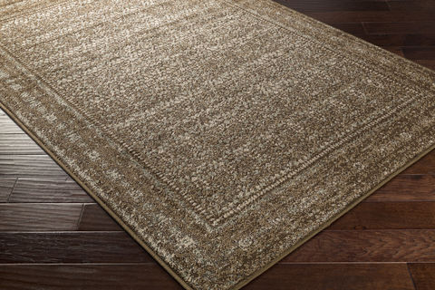 Surya Paramount Brown Runner 22 X 76 Area Rug PAR1076-2276 800-84092 Image 1