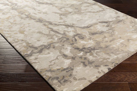 Surya Remarque Grey 40 X 60 Area Rug RRQ2008-46 800-85182 Image 1