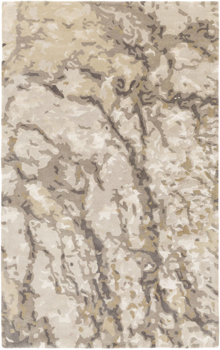 Surya Remarque Grey 80 X 100 Area Rug RRQ2008-810 800-85184 Image 0